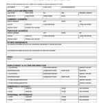 FREE 6 Apartment Rental Application Forms In PDF MS Word Excel