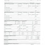 Condo Lease Application Forms And Templates Fillable Printable