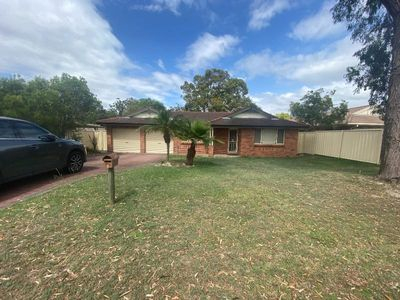 Residential Real Estate For Rent Raymond Terrace NSW 2324